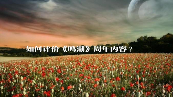如何评价《鸣潮》周年内容?