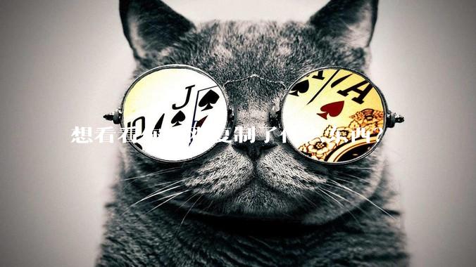 想看看你刚刚复制了什么东西？
