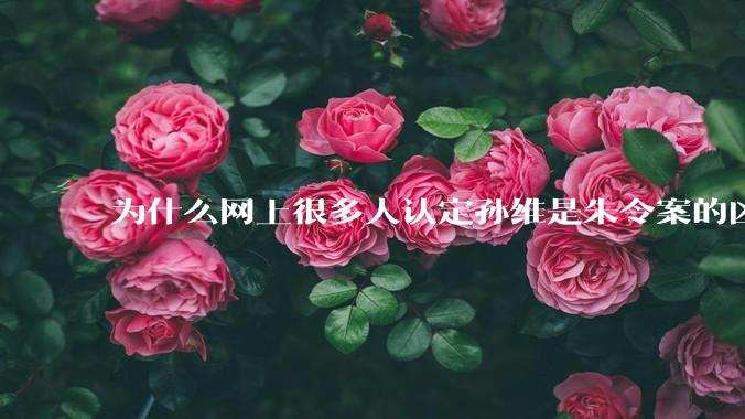 为什么网上很多人认定孙维是朱令案的凶手？